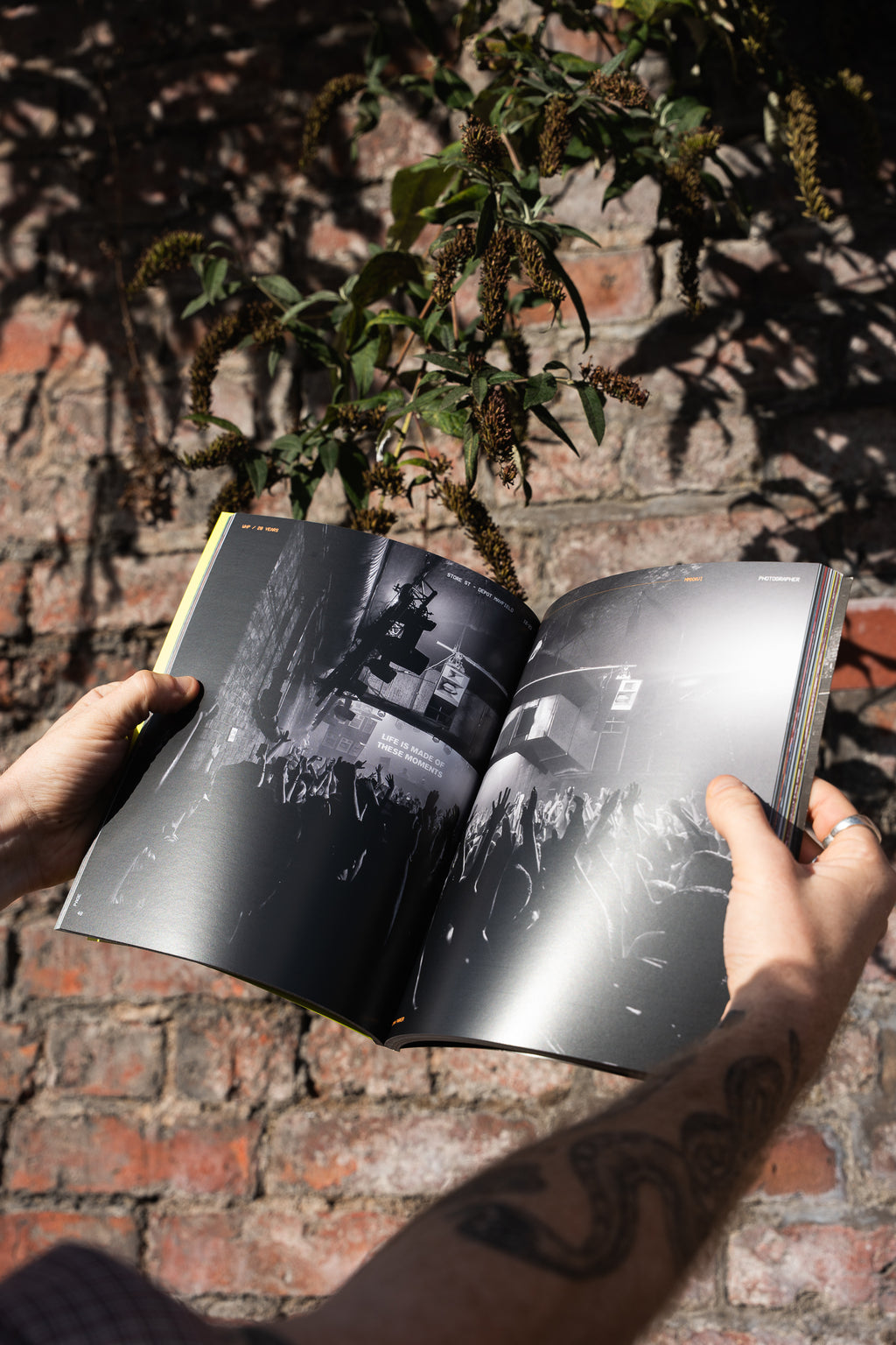 WHP 20 Years Magazine